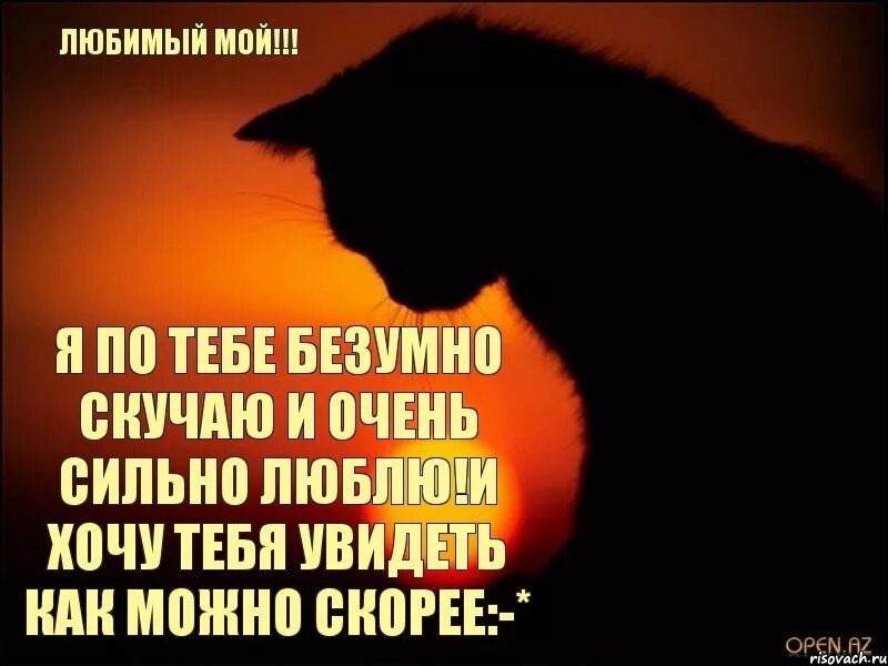 Я очень сильно скучаю по тебе. Я очень скучаю по тебе картинки. Я тебя очень люблю и скучаю. Я тебя очень сильно люблю и скучаю. Я тоже скучаю любимый