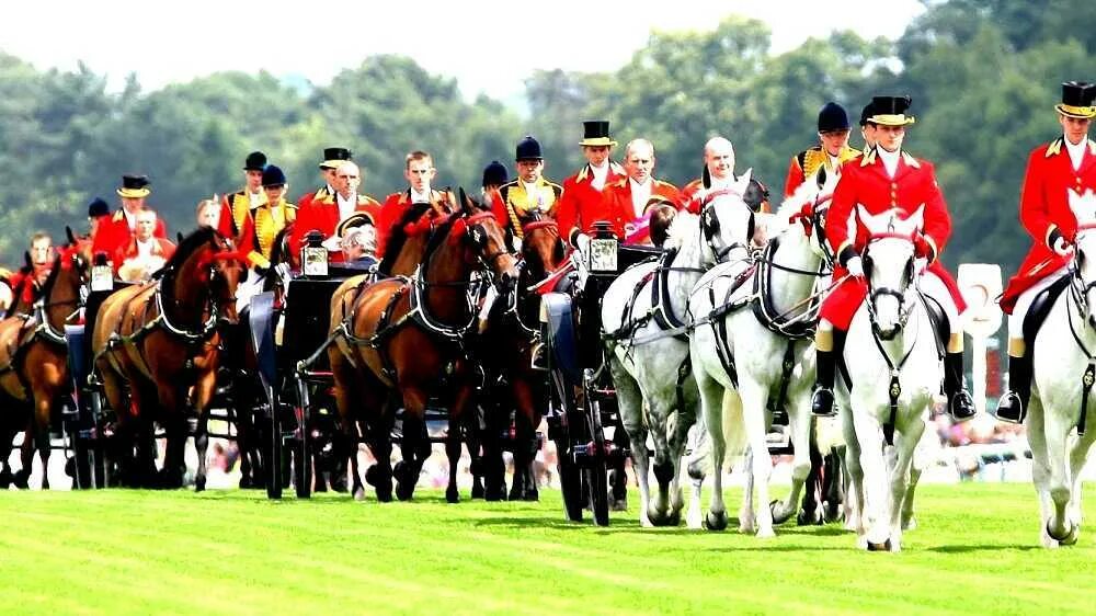 The national sport of england 7. Ипподром Британии. Grand National Horse Race в Британии. Скачки в Англии. Национальные гонки на лошадях в Великобритании.