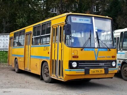 Автобус 246