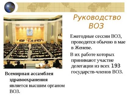 Сессия воз