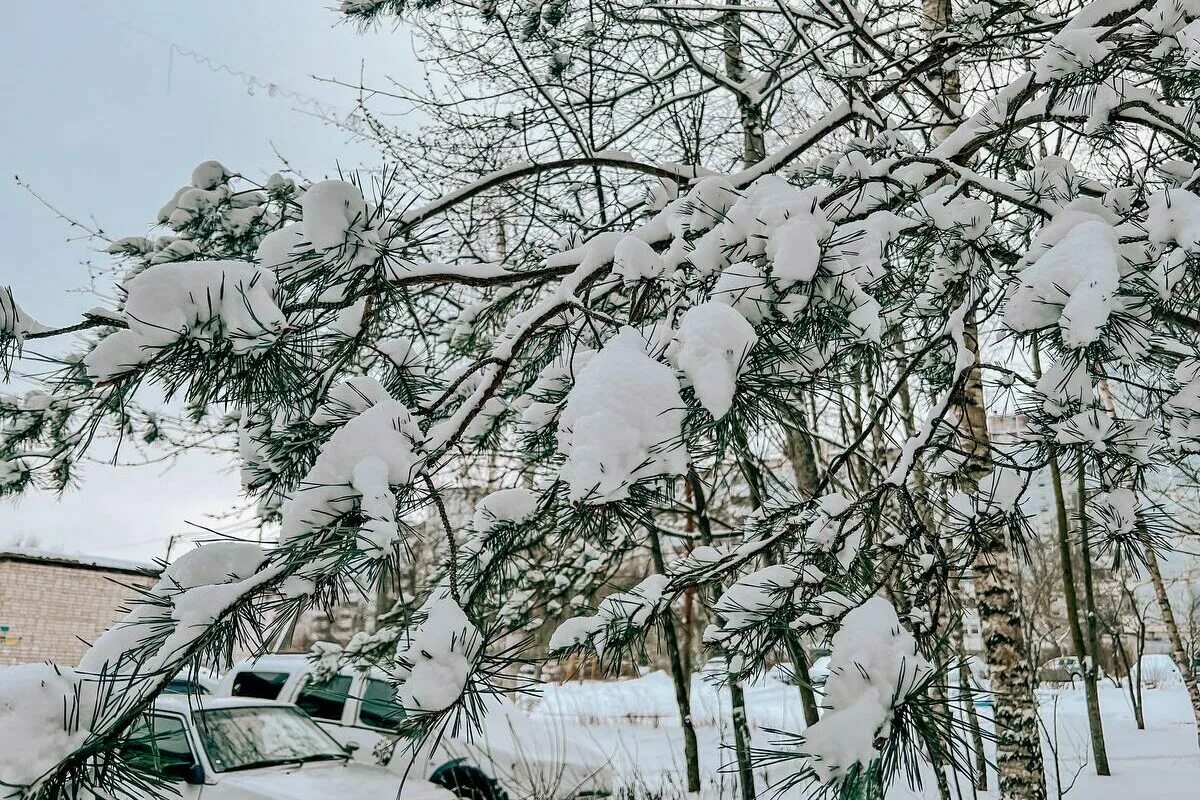 И снова выпадет снег. Сильный снегопад. Снежный день. Снежный день февраля. Местами снег.