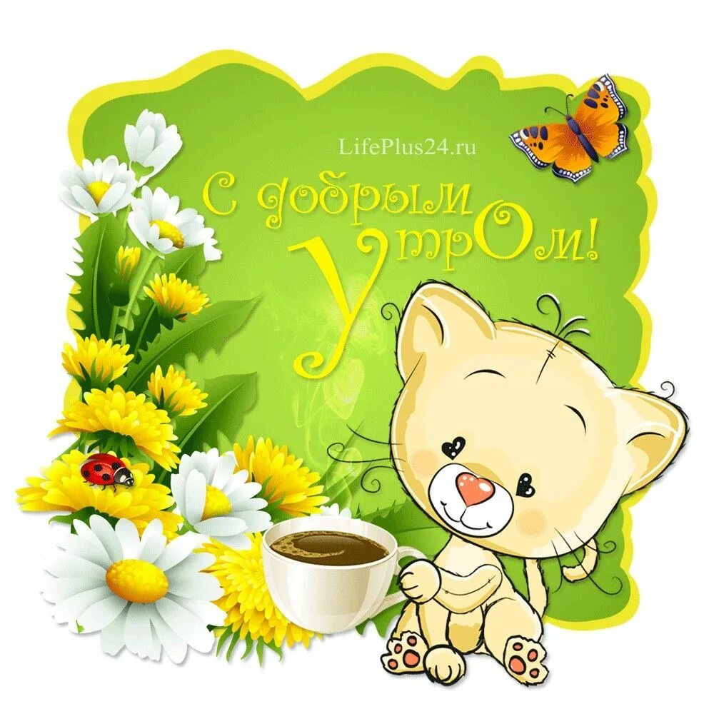 валентина в Instagram: "Доброе утро,всем" Good morning flowers quotes, Happy bir