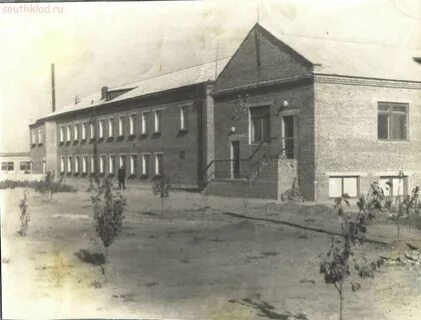 Погода плешаков каменский