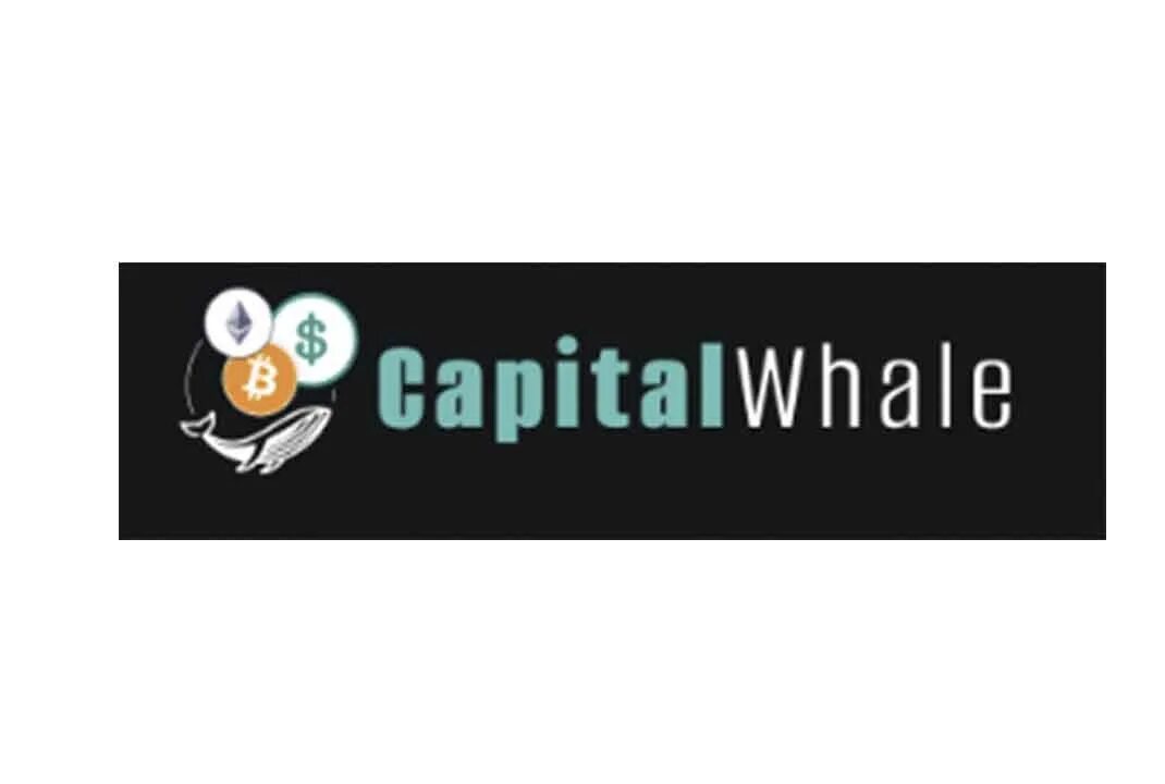 Capital whale. Capital whale биржа.