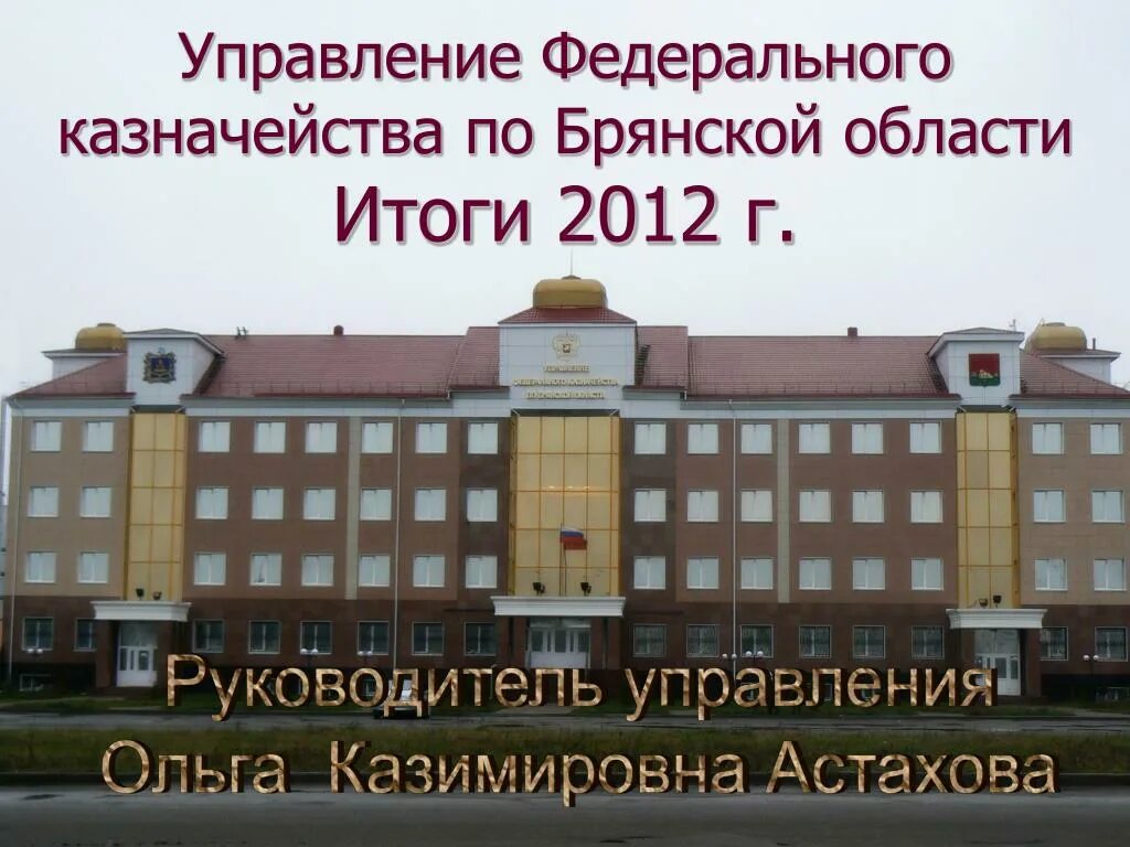 Управление федерального казначейства по городу. Управление федерального казначейства по Брянской области. Федеральное казначейство Брянской области руководитель. УФК по Брянской области Крахмалева. Начальник УФК по Брянской области.