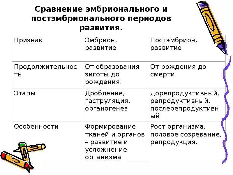 Постэмбриональный период онтогенеза схема. Постэмбриональный период этапы таблица. Периоды онтогенеза таблица эмбриональный и постэмбриональный. Эмбриональный этап развития краткая характеристика.