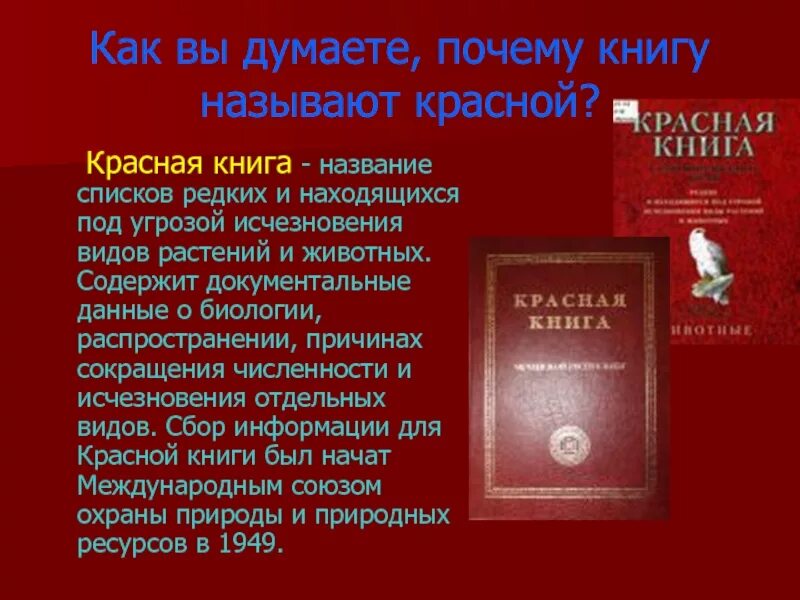 Красная книга. Как называется красная книга. История красной книги. История создания красной книги.