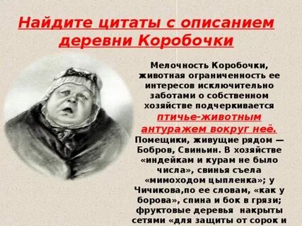 Авторская характеристика коробочки цитаты