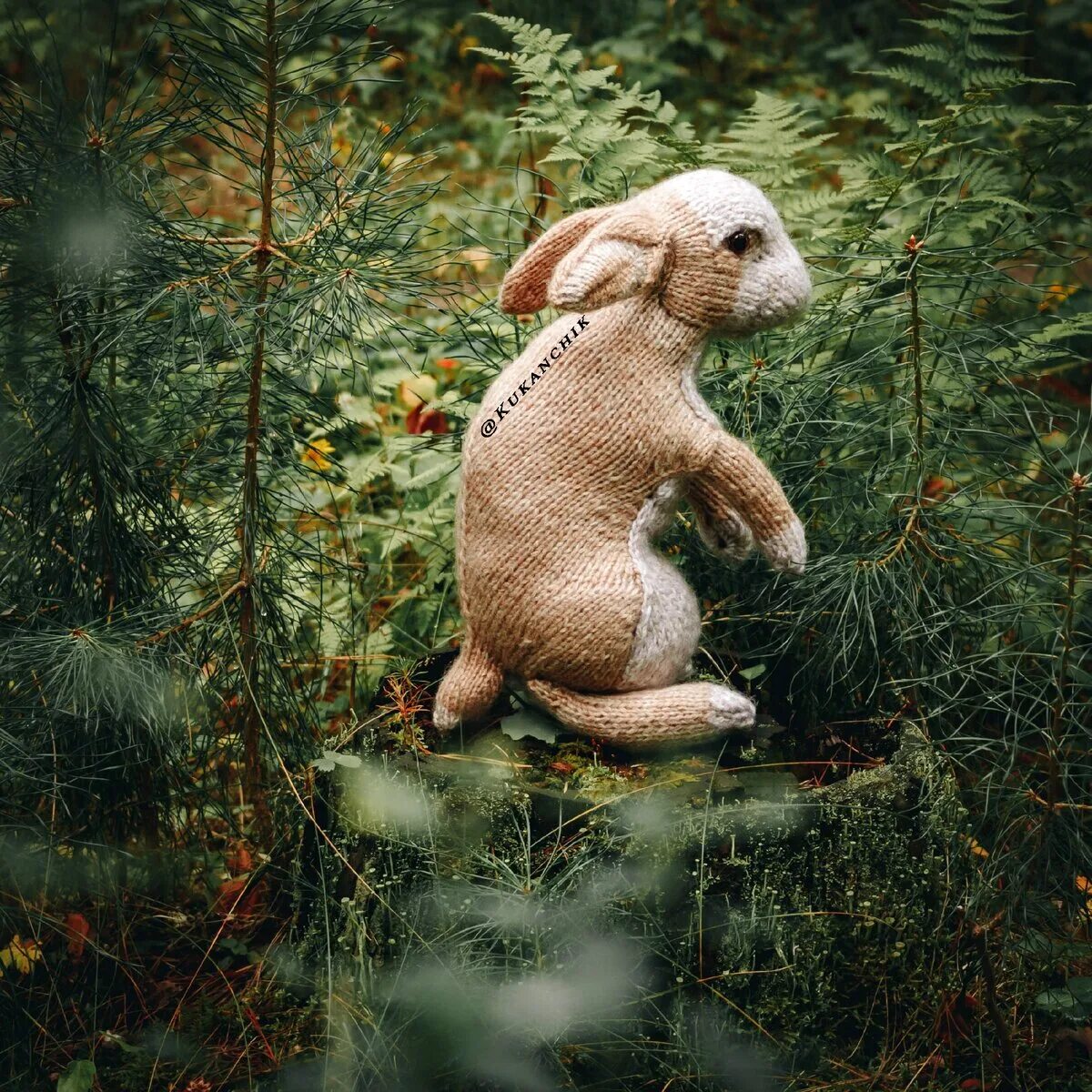 Вязаные игрушки клэр гарланд. Клэр гарланд (claire garland).. вязаный кролик клэр гарленд. клэр гарланд игрушки. гарланд клэр лесные жители.