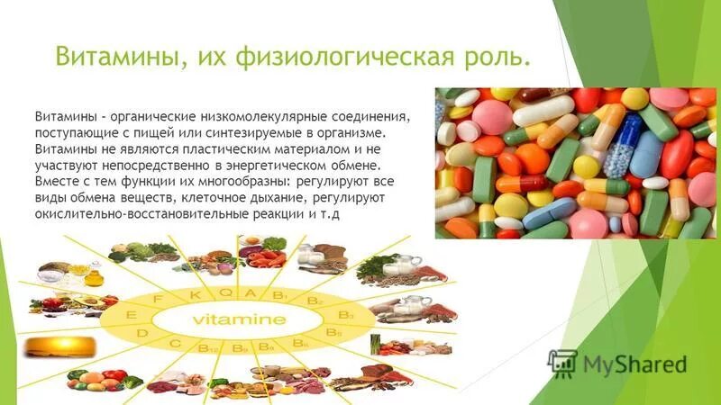 Витамин е физиологическое значение. Витамины их физиологическое значение. Витамины их физиологическое значение. Витамины и их физиологическое значение. Витамины их физиологическое значение.