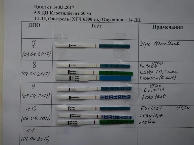 Беременность после укола хгч. Тест на беременность после укола Овитрель. Укол ХГЧ Овитрель. Тесты после овитреля. Тесты на беременность по дням.