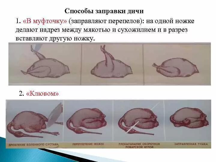 Перечислите способы заправки птицы. Способы заправки сельскохозяйственной птицы. заправка в муфточку птицы. обработка птицы и дичи. схемы первичной обработки птицы и дичи.