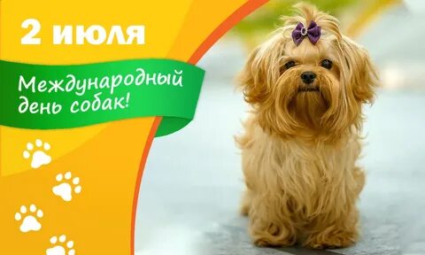 2 июл