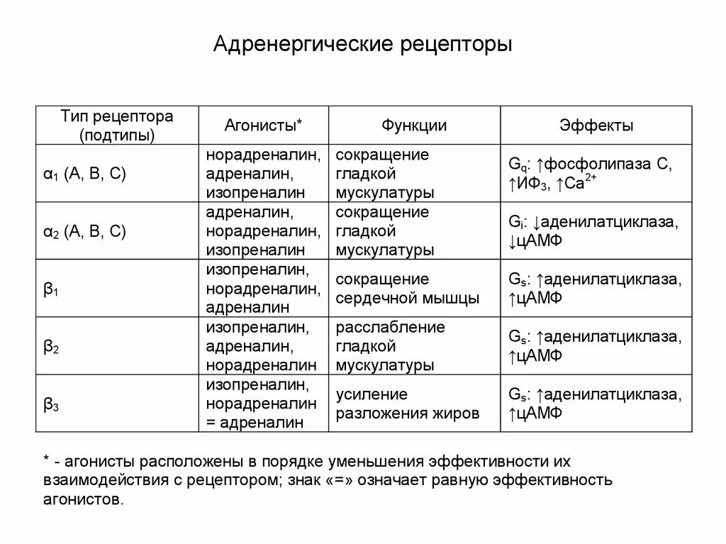 Адренергическая система рецепторы. Альфа 2 адренорецепторы локализация. Альфа и бета адренорецепторы таблица. А2 рецепторы локализация.