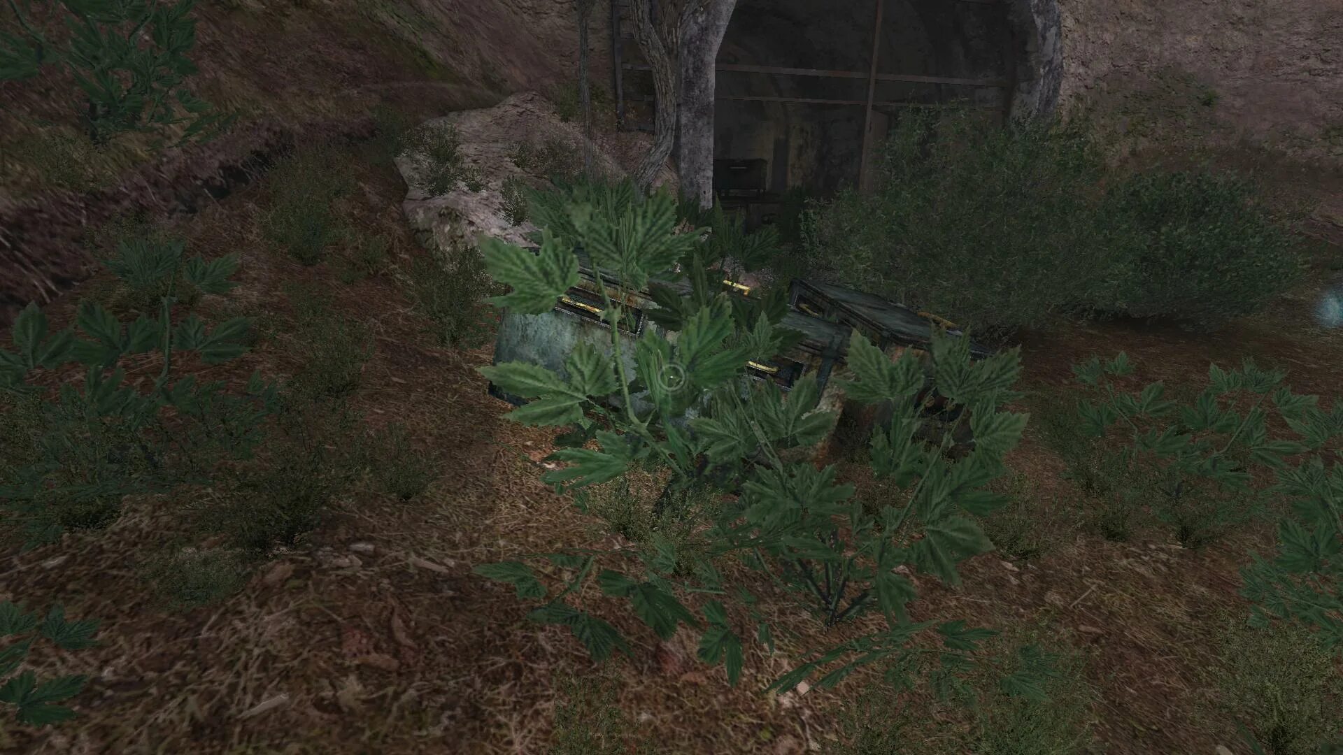 сталкер народная солянка прохождение тайник харона