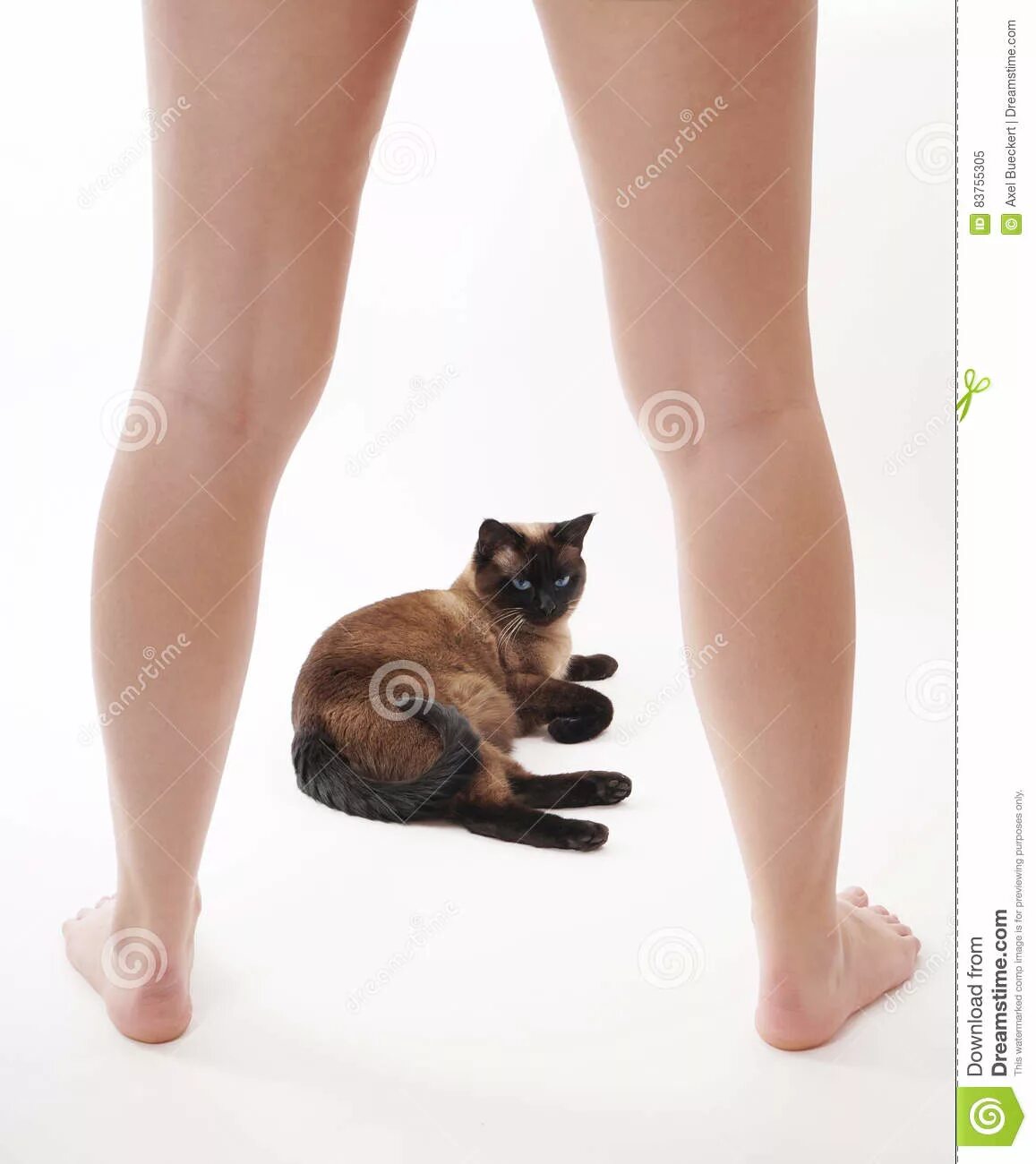 Девушка с котом на руках и голой киской между ног фото