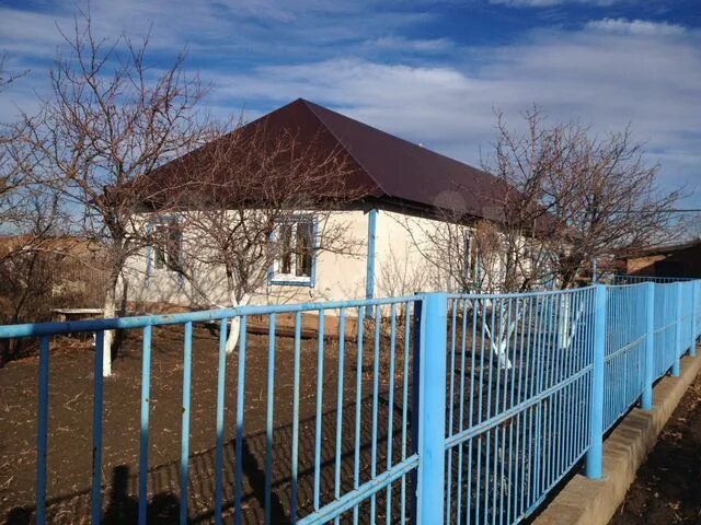 Авито дом александровка. Село ждановка саратовская область. деревня ждановка оренбургская область. красногвардейский в александровке светлячок. фотографии села александровка красногвардейского района.