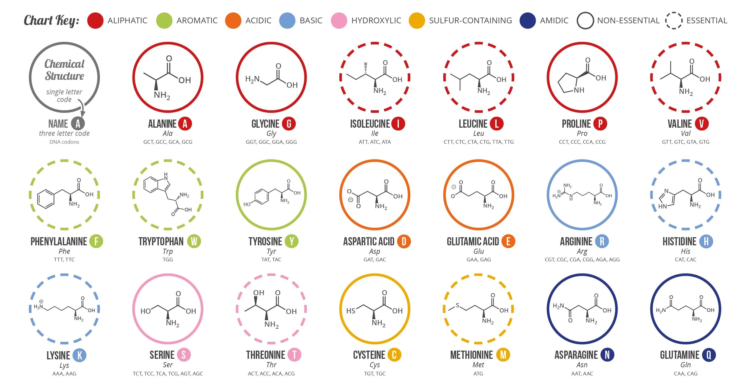 Коллекция заблуждений книга. Топ самых популярных бл. Часто используемые глаголы в английском языке. 10 часто используемых английских глаголов. Топ самых популярных блоггеров.