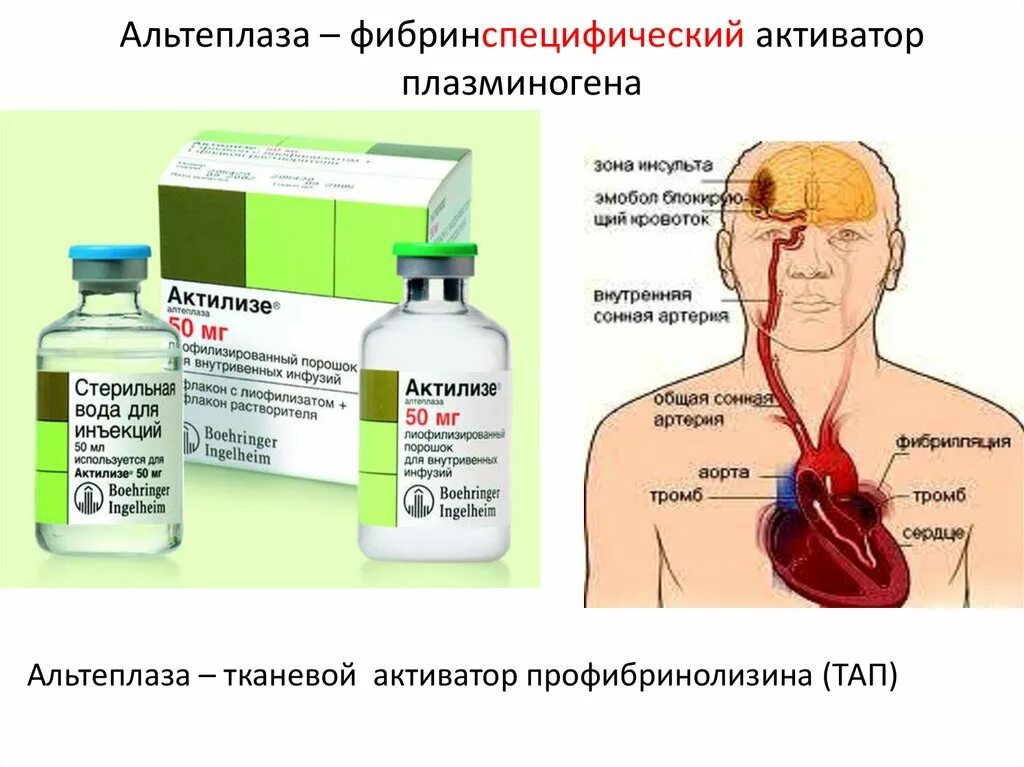 Актилизе цена. Альтеплаза. Актилизе альтеплаза. Тканевой активатор плазминогена. Альтеплаза показания.