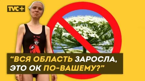 Здесь настоящие люди
