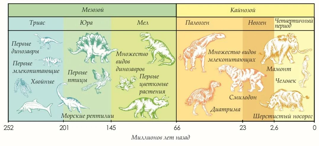 Эволюция живого таблица. Периоды жизни динозавров. Периоды жизни динозавров на земле таблица. Геохронологическая шкала эволюции. Временная шкала динозавров.