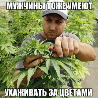 Мужики тоже