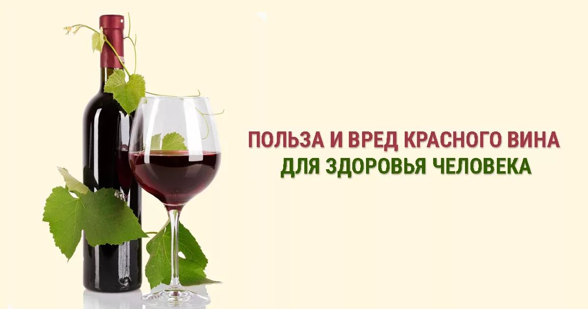 Вино полезно для сосудов. Вино для организма. Красное вино польза для здоровья. Польза и вред красного вина. Вино полезно для здоровья.