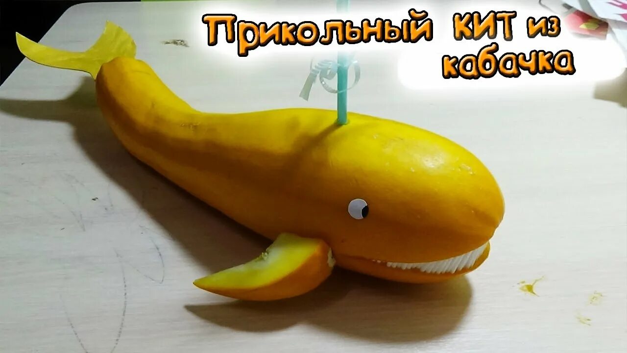 Акула-кабачок. Фото № 170841. Ноябрь 2015. Конкурс "Осенние фантазии". Ноябрь 20