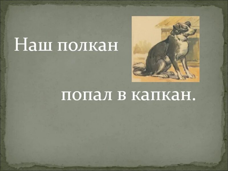 Позади залаял полкан приятели. Наш полкан попал в капкан. наш полкан попал в капка. нашпалкан попал в капкан. наш полкан попал в капкан скороговорка.