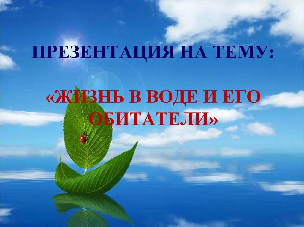 Оберегая воду. Вода наше богатство. Презентация на тему вода наше богатство. Доклад вода наше богатство. Картинки на тему вода наше богатство.