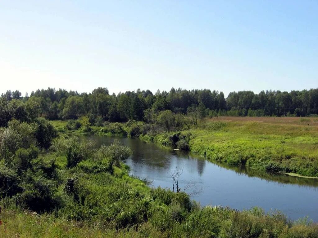 Река сестра белоостров. Река сестра клин. Река сестра ленинградская область. Река большая сестра рыба. Река сестра клин рыбалка.