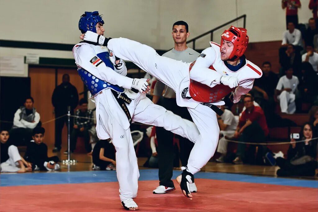 Tae kwon do. Тхэквондо втф дети. Хапкидо черный пояс. Тхэквондо втф спарринг. Хапкидо черный пояс.