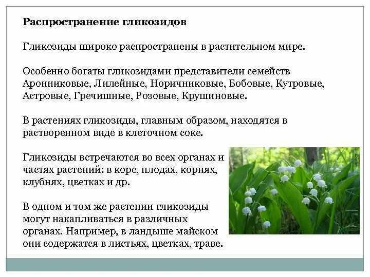 Растения содержащие гликозиды. Гликозиды в растениях. сердечные гликозиды растения. гликозиды в каких растениях содержится.