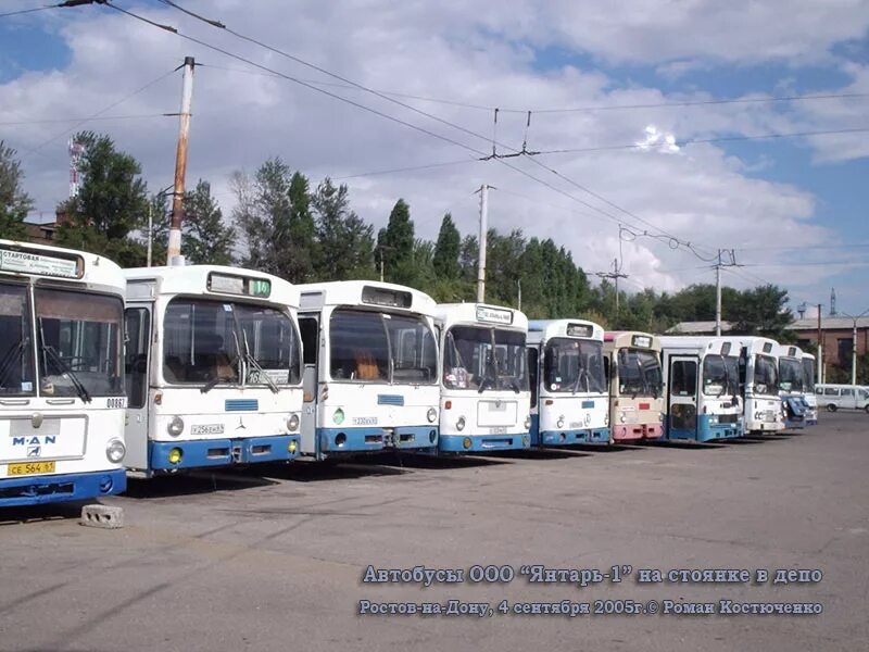 Автоколонна 1559 ростов. Автоколонна 1559. Ростовские автобусы. 55 автобус ростов на дону. Автоколонна 1559 ростов.