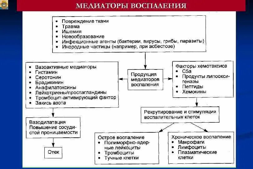 Клеточные медиаторы воспаления. Медиаторы воспаления патофизиология таблица. Плазменные медиаторы воспаления патофизиология. Медиаторы воспаления таблица патология. Экссудативное воспаление блок схема.