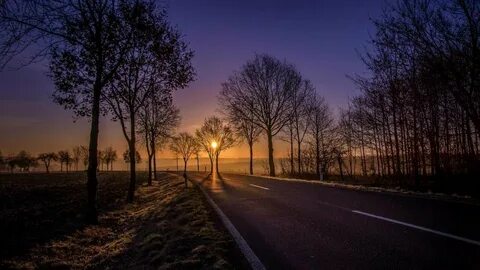 Lonely road