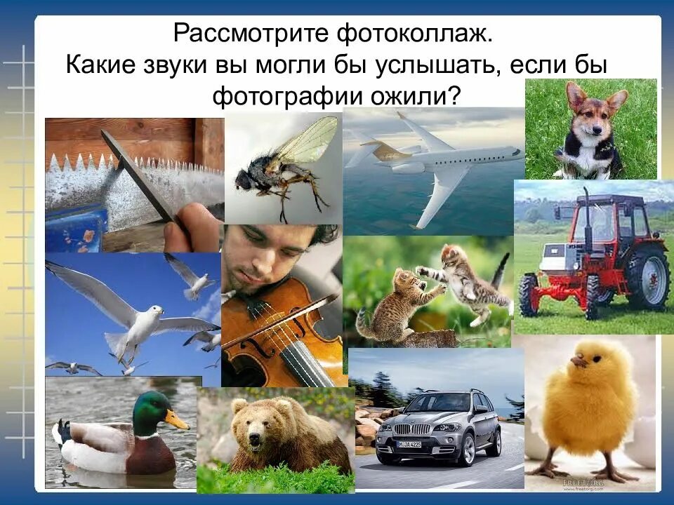 Можно услышать звуки. Звуки которые нас окружают. звук фотоколлаж. звуки окружающие нас. фотоколлаж звуки которые нас окружают.