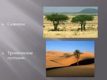 Пустыни тропического пояса