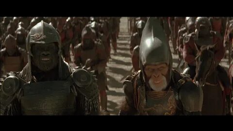 Обезьян 2001 год