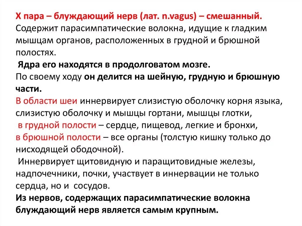 Блуждающий нерв парасимпатическая нервная. Дорсальное ядро блуждающего нерва функции. Блуждающий нерв пара. Роль ядер блуждающего нерва. Парасимпатическое ядро блуждающего нерва.