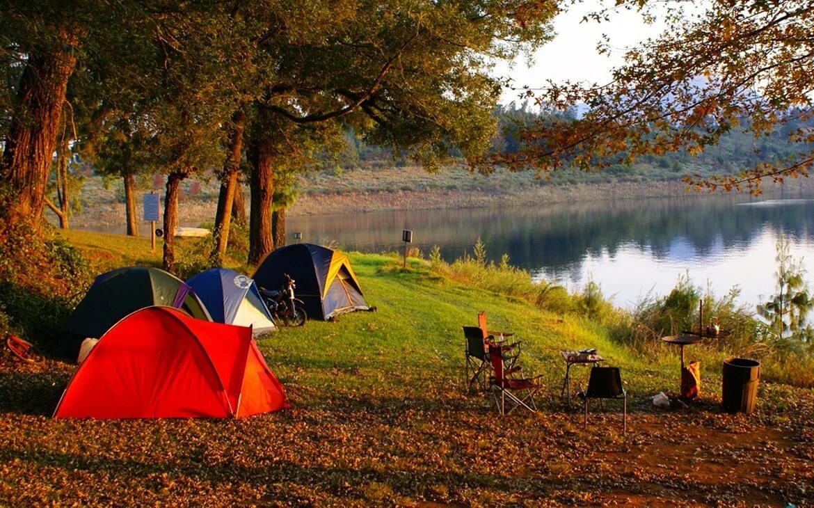 Camping фото. Автокемпинг Торбеево озеро. Торбеево озеро палаточный лагерь. Палатка на природе. Туризм с палатками.