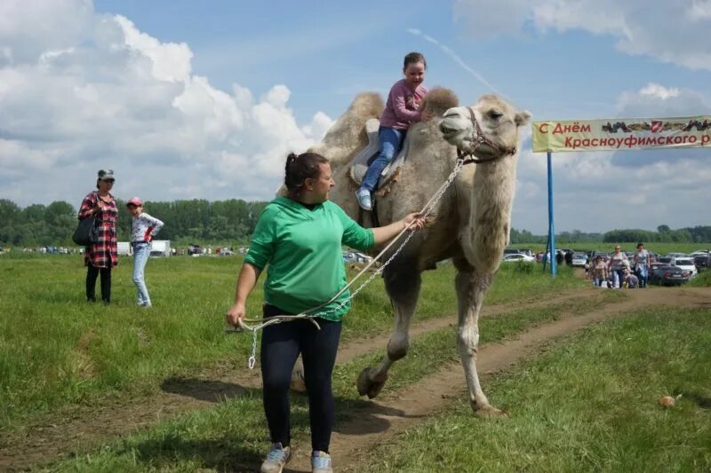 Кск66 красноуфимск объявления объявления. Дело банк логотип. Трикальцийфосфат для коров. Кск66 красноуфимск объявления красноуфимск,знакомства. Кск66 красноуфимск объявления животные.