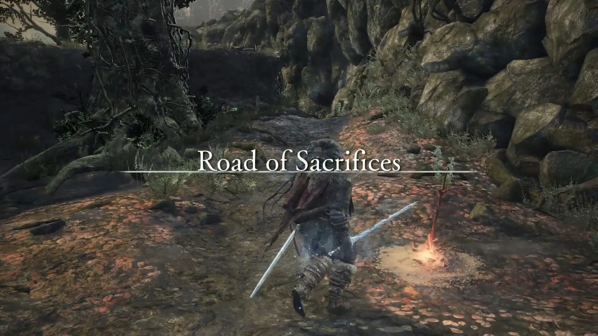 Локация путь жертв dark souls 3. Путь жертвы соулс 3. Дарк соулс 3 лес. Путь жертвы соулс 3. Дарк соулс 3 карта лес мучений.