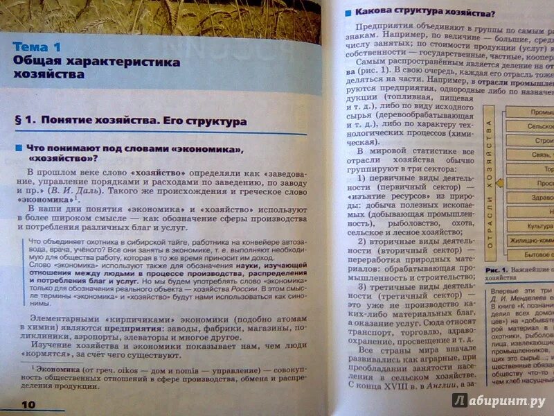 География 8 класс учебник Алексеев Низовцев.