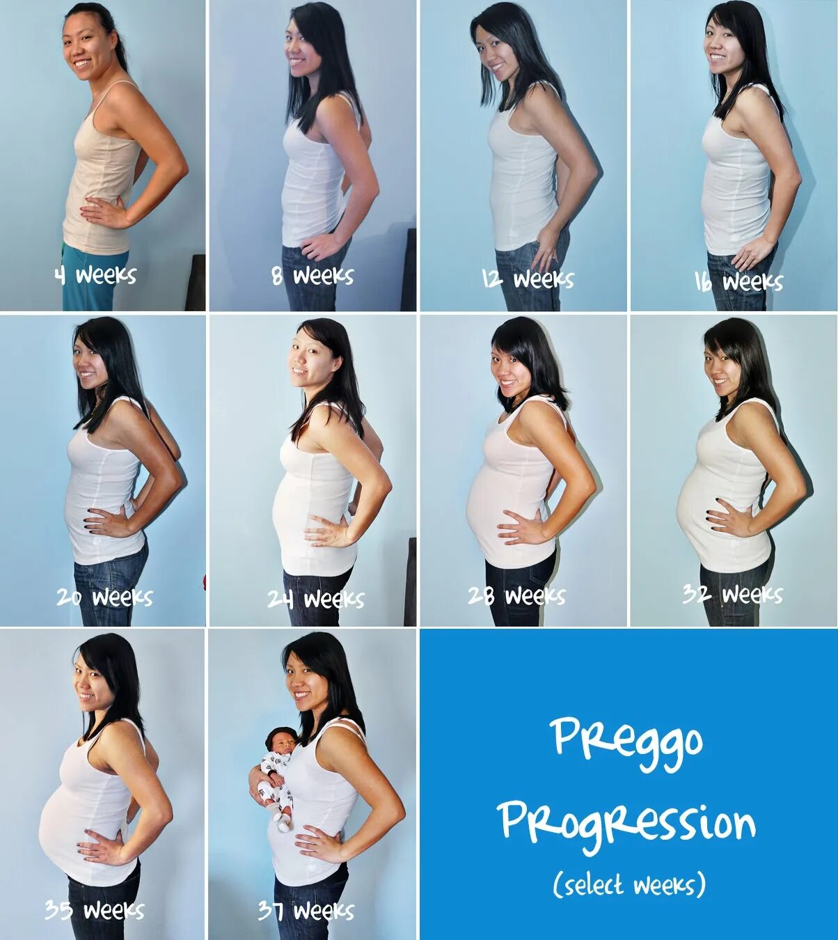 Живот на втором месяце. Живот по неделям. Месяцы беременности. 3 Месяц беременности. Живот на 3 месяце беременности.