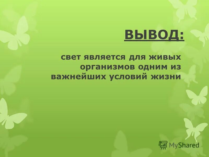 свет и его свойства. выводить на свет. розетки и выключатели на балконе. светр. луч света в темном царстве.