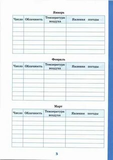 Дневник наблюдений плешаков 1
