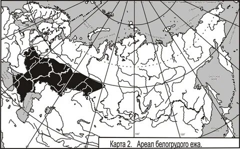 Каштановая распространение