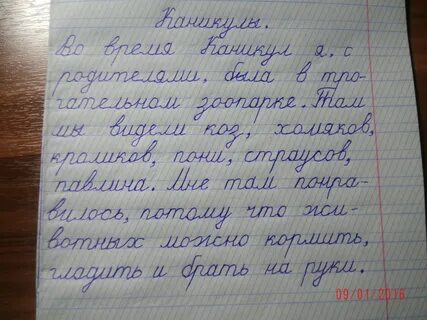 Рассказ как я провел день