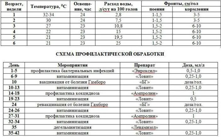 Чем поить цыплят в первый день. Схема пропойки индюшат с первых дней жизни. Схема пропойки цыплят бройлеров с первых дней. Схема выпаивания цыплят бройлеров антибиотиками. Схема пропойки бройлерных цыплят.